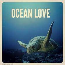 Ocean Love Please Take Care Of Our Oceans Graphic Quotes Save Our Oceans Animal Quotes