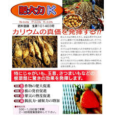 肥大力k 20kg 10kgx2入り 肥大促進カリウム葉面散布肥料 発根促進系 液体肥料 たまごや商店