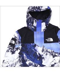 Supreme X The North Face Mountain Parka Mountain Millioncart