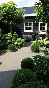 garden sadovye idei sadovye bordyury dizajn sada