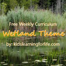 Themes In 2020 Wetland Animal Habitats Preschool Wetlands Activities