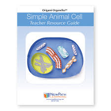 Nucleus, mitochondria, endoplasmic, reticulum and ribosome are clearly mentioned. Simple Animal Cell 3 D Model Making Kit New Teacher Supplies Educational Resources Eai Education