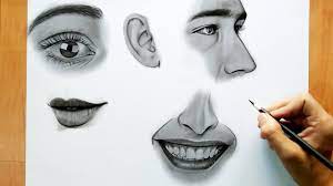 How to draw a male face? Human Face Features Drawing Only 1 Pencil Youtube