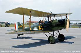 「http://jfg-fichtelgebirge.de/ trout」的圖片搜尋結果