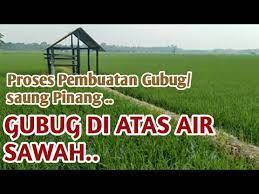 Cara membuat gubuk di sawah. Buat Gubug Saung Gazebo Dari Pinang Gampang Murah Dan Kuat Youtube