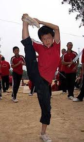 Auch wenn du kung fu schnell lernen möchtest, widerstehe der versuchung, zu hart und zu schnell zu trainieren. Schule In China Die Kung Fu Kids Von Shaolin Der Spiegel