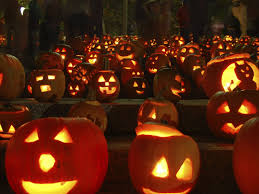 Image result for pumpkins