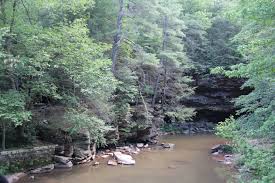 We did not find results for: Great Trough Creek Wikipedia