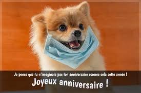 Carte anniversaire gratuite animée theme anniversaire. Je Pense Que Tu N Imaginais Pas Ton Anniversaire Comme Cela Cette Annee Joyeux Anniversaire Drole Carte Virtuelle Anniversaire Carte Anniversaire Humoristique