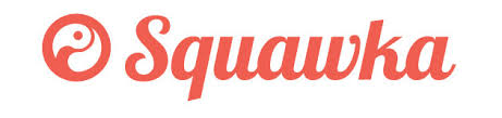 Image result for squawka logo