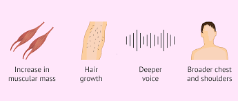 Image result for Sexual Development