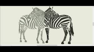 Hand embroidery pattern hand drawn line art coloring page | etsy. Zebra Embroidery Pattern Download Youtube