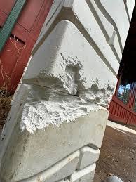 Is there a squirrel scientist