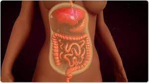 Peritonitis is a bacterial or fungal infection of the peritoneum, the thin, silklike membrane that lines your inner abdominal wall. Trattamenti Della Peritonite