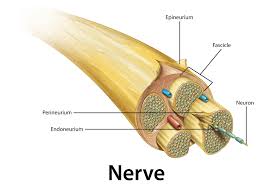 Neuropathytreatmentgroup.com has been visited by 10k+ users in the past month Nerve Damage After Surgery What Are Your Options