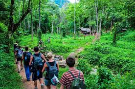 The crazy tourist recommends visiting matang mangroves near taiping in peninsular malaysia. Trekking In Southeast Asia Find The Best Hiking In Southeast Asia