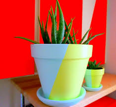 Don't let boring pots dampen your gardening spirits! Two Tone Painted Pots Fancy Diy Project