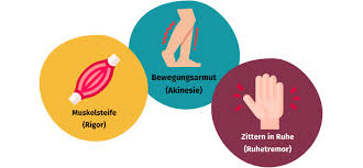 Available clinical and promising omics tests for diagnostics, disease risk assessment, and pharmacotherapy personalization. Parkinson Erkrankung Symptome Ursachen Leben Und Alltag Gesund Bund De