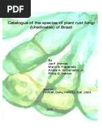 Image result for Searsia grossireticulata