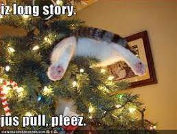 Cat Stuck In Christmas Tree Cat Christmas Tree Christmas Cats Funny Animal Pictures