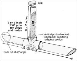 Never leave a vole carcass in your yard, or it can attract other animals and cause even worse problems. Controlling Voles In Horticulture Plantings And Orchards In Missouri Mu Extension