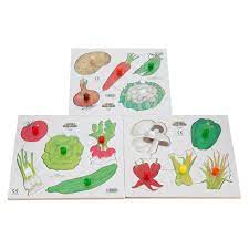 One of the best things about puzzles and jigsaws is that they're just as much fun whether you do them in a group or on your own. Hc252258 Just Jigsaws Vegetable Peg Puzzles Findel International