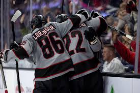 Image result for Ochna hackarsii