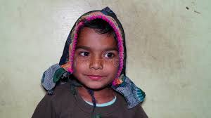 Dulce Conejo Indio Joven O Liebre Sentada En El Suelo Con Orejas De Pie.  Linda Niñita Cierra Temprano En La Mañana Imagen de archivo