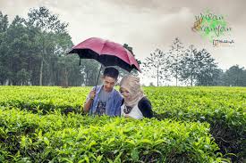 We did not find results for: Prewedding Weddingku Magazine