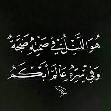 هو الليل في صمته ضجة وفي سره عالم ابكم Light Words Cool Words Arabic Quotes