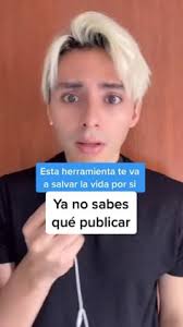 Descubre 25 ideas de proyecto canino y consejos para redes sociales