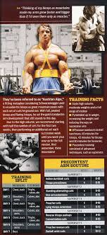 Arnold Schwarzenegger Workout Routine Day 4