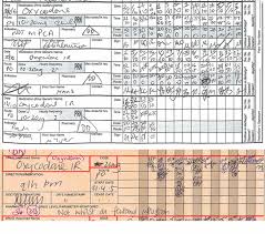 medical chart example bismi margarethaydon com