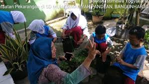 Sd muhammadiyah plus adalah sd yang dimiliki persyarikatan muhammadiyah di kota batam. Kegiatan Sekolah Lapang Sdm Kwt Di Sd Muhammadiyah Pandeyan Kecamatan Sewon