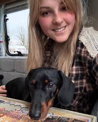 Dachshunds deserve love and care
