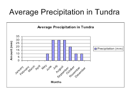 Tundra Precipitation Margarethaydon Com