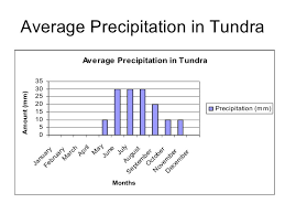 tundra precipitation margarethaydon com