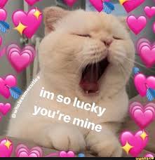 Pin By Shin Chan On Wholesome Memes Cute Cat Memes Cute Memes Cute Love Memes