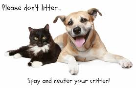 Where can i get a dog neutered for free. 8 Benefits To Spaying Or Neutering Your Pet Advanced Veterinary Care