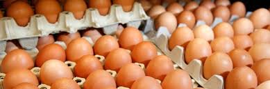 Check spelling or type a new query. Harga Telur Ayam Turun Siharapanku Sistem Harga Pangan Komoditas Utama