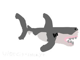 Drawing a 3d great white shark. Very Horrible Great White Shark Drawing I Made Seaanimals