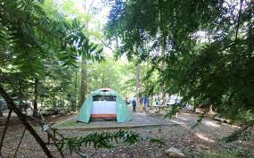 Black forest family camping resort brevard nc: Camping At Black Mountain Campground North Carolina Campfiredelight Com