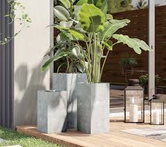 **not all plants do well in concrete and cement planters. Best Places To Buy Concrete Planter Pots Online The Garden Glove