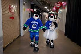 We regularly add new gif animations about and. Fin On Twitter Okay So The Canucks Fell Short On The Ice Last Night But I Scored In The Bae Department Finbae That Is Happyvalentinesday Https T Co 97nmfksiyr