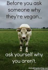 Bevor Du Jemanden Fragst Warum Sie Sich Vegan Ernahren Frage Dich Selbst Warum Du Es Nicht Tust Veganquotes Bevor Du J Veganer Zitate Vegan Ernahren Vegan