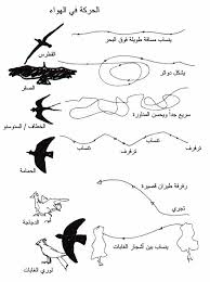 الوحدة رقم ١ النظر في الحياة View As Single Page