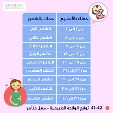 بالجدول كيفية حساب فترة الحمل بالأسابيع وبالأشهر baby tumblr baby health baby education