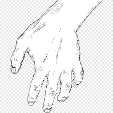 Vektor disponsori 10 off all shutterstock plans with coupon code domainvector. Model Sketsa Gambar Tangan Yang Lain Bermacam Macam Sudut Png Pngegg