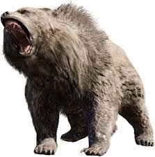 The photo is an historical artifact, depicting the last known mexican grizzly, the subspecies of brown bear (ursus arctos nelsoni; Bear Png Bear Png Grizzly Bear Roaring Png 1120104 Vippng