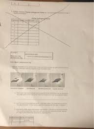 Check spelling or type a new query. Student Exploration Dichotomous Keys Vocabulary Chegg Com